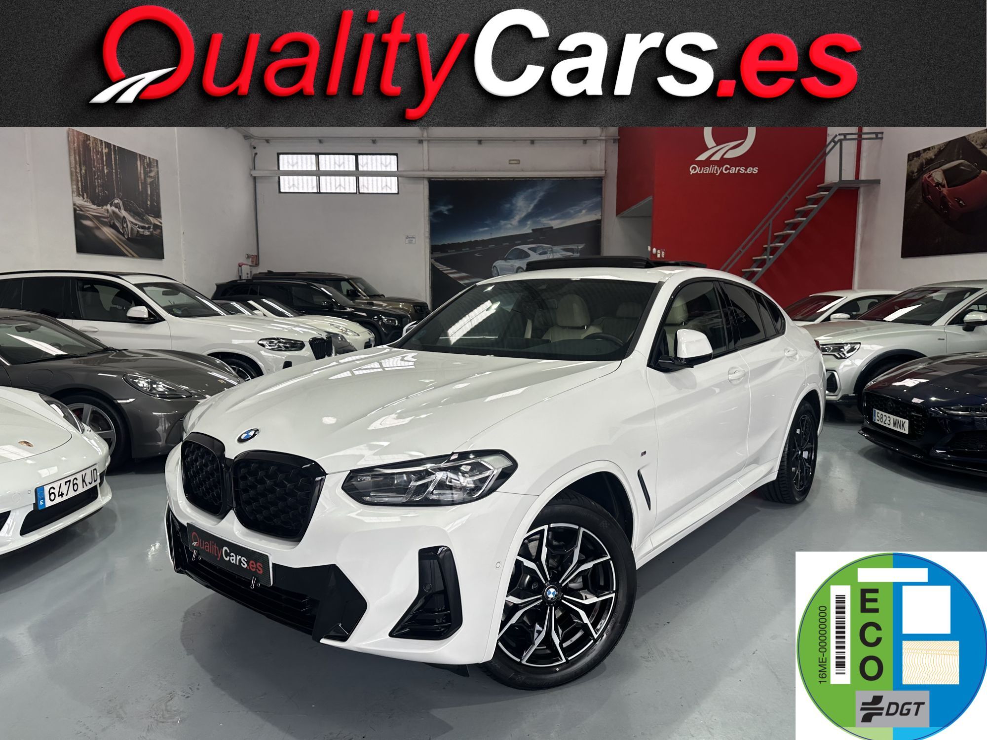 BMW X4 (xDrive 20dA xLine M Sport) en Valencia