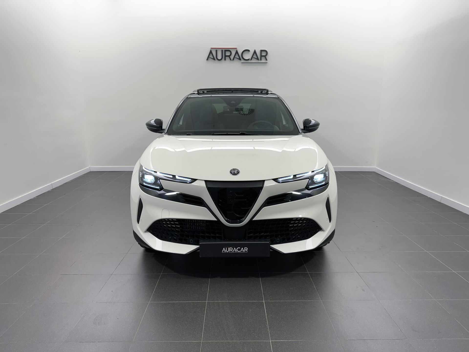 Imagen 2 de ALFA ROMEO Junior