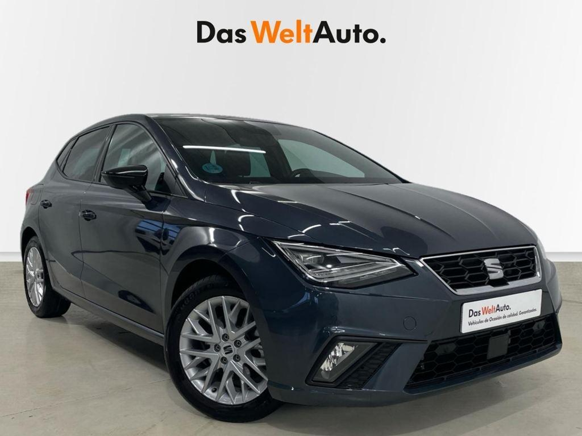 Imagen de SEAT Ibiza
