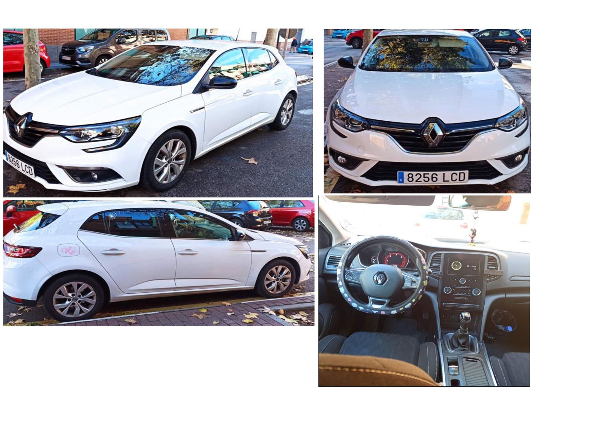 Imagen de RENAULT Mégane