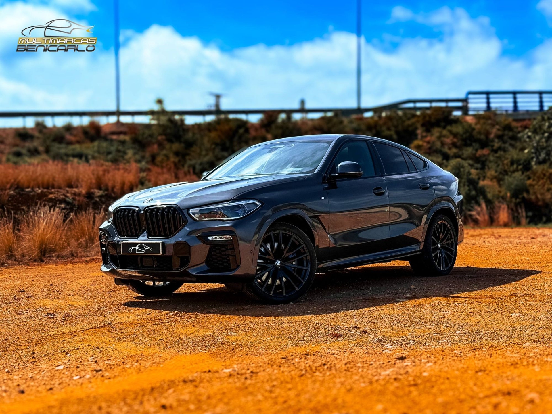 Imagen de BMW X6
