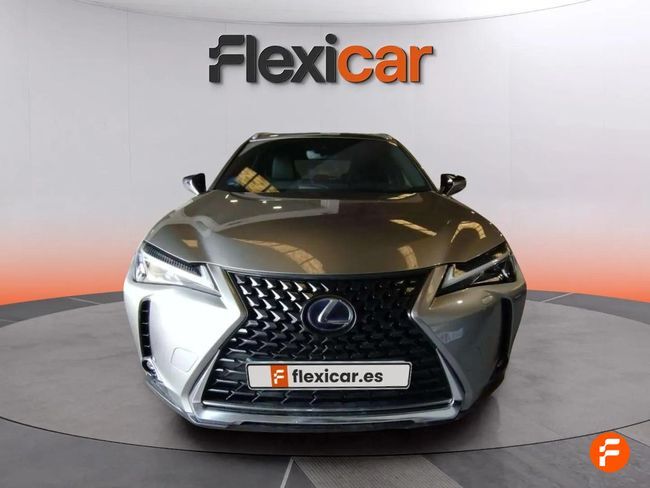Foto del LEXUS UX 250h Business 4WD