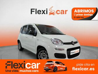 Imagen de FIAT Panda 1.2 Pop