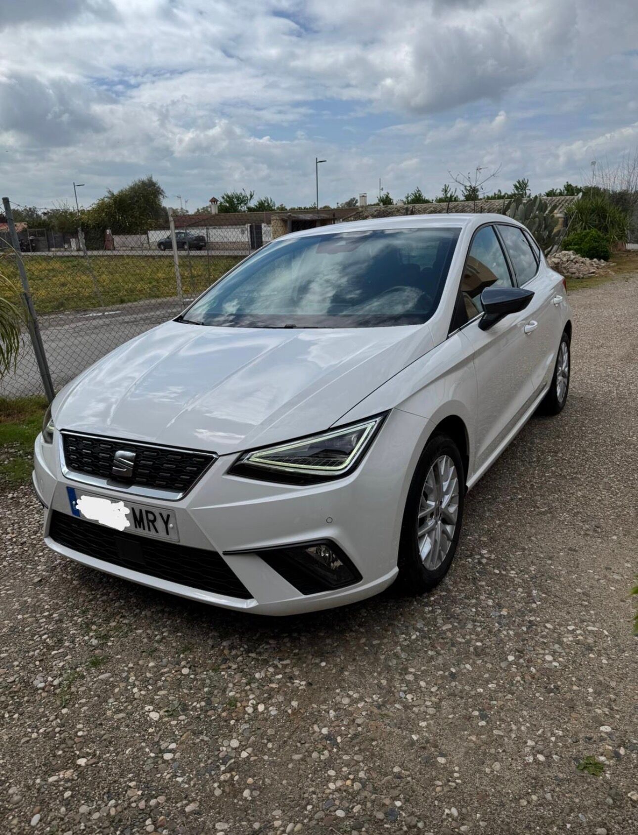 Foto del SEAT Ibiza 1.0 TSI S&S Special Edition 115