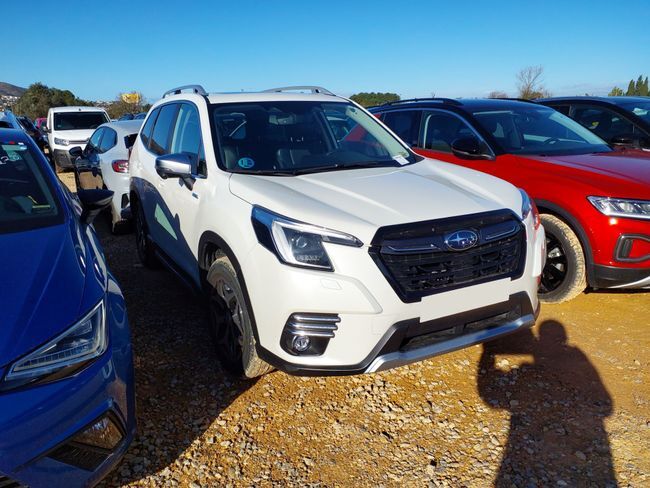Foto del SUBARU Forester 2.0i Hybrid Executive Plus CVT
