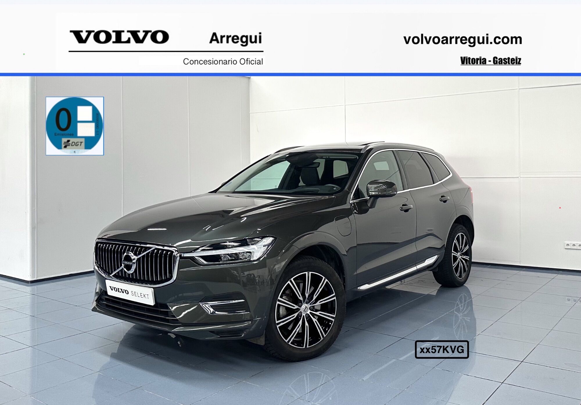 VOLVO XC60 (T8 Twin Inscription) en Álava