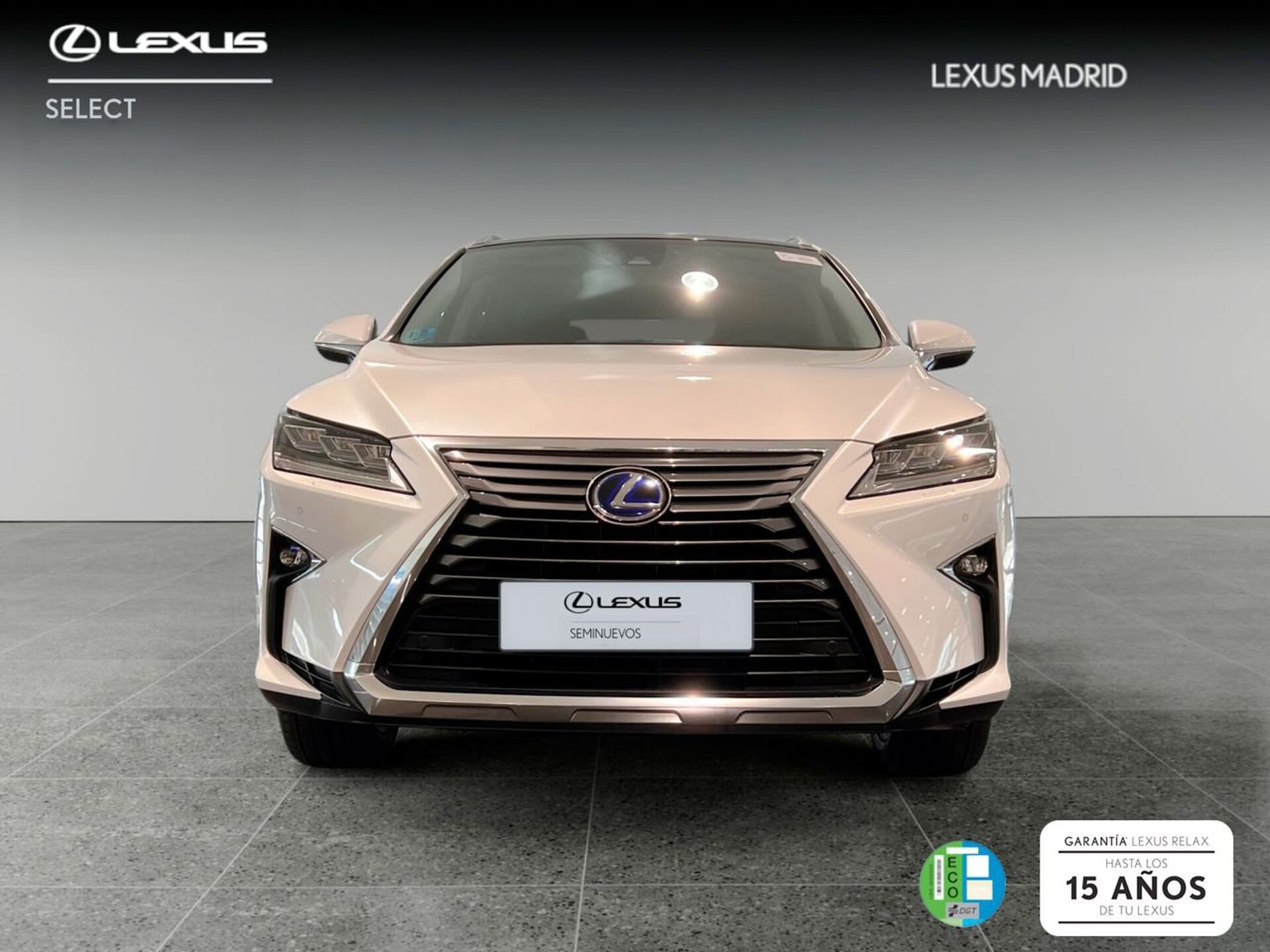 Imagen 2 de LEXUS RX