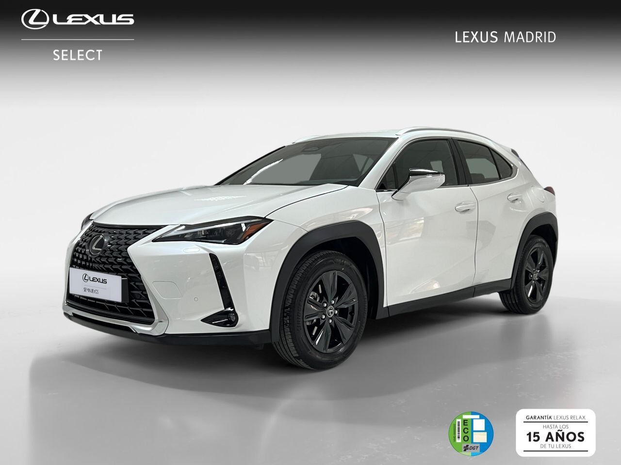 LEXUS UX (2.0 300h Plus) en Madrid