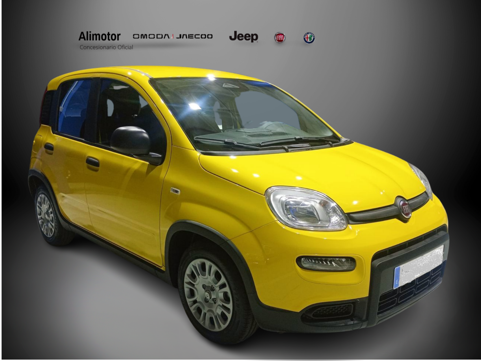 FIAT Panda (CLASSIC MY25 1.0 70CV E64) en Alicante