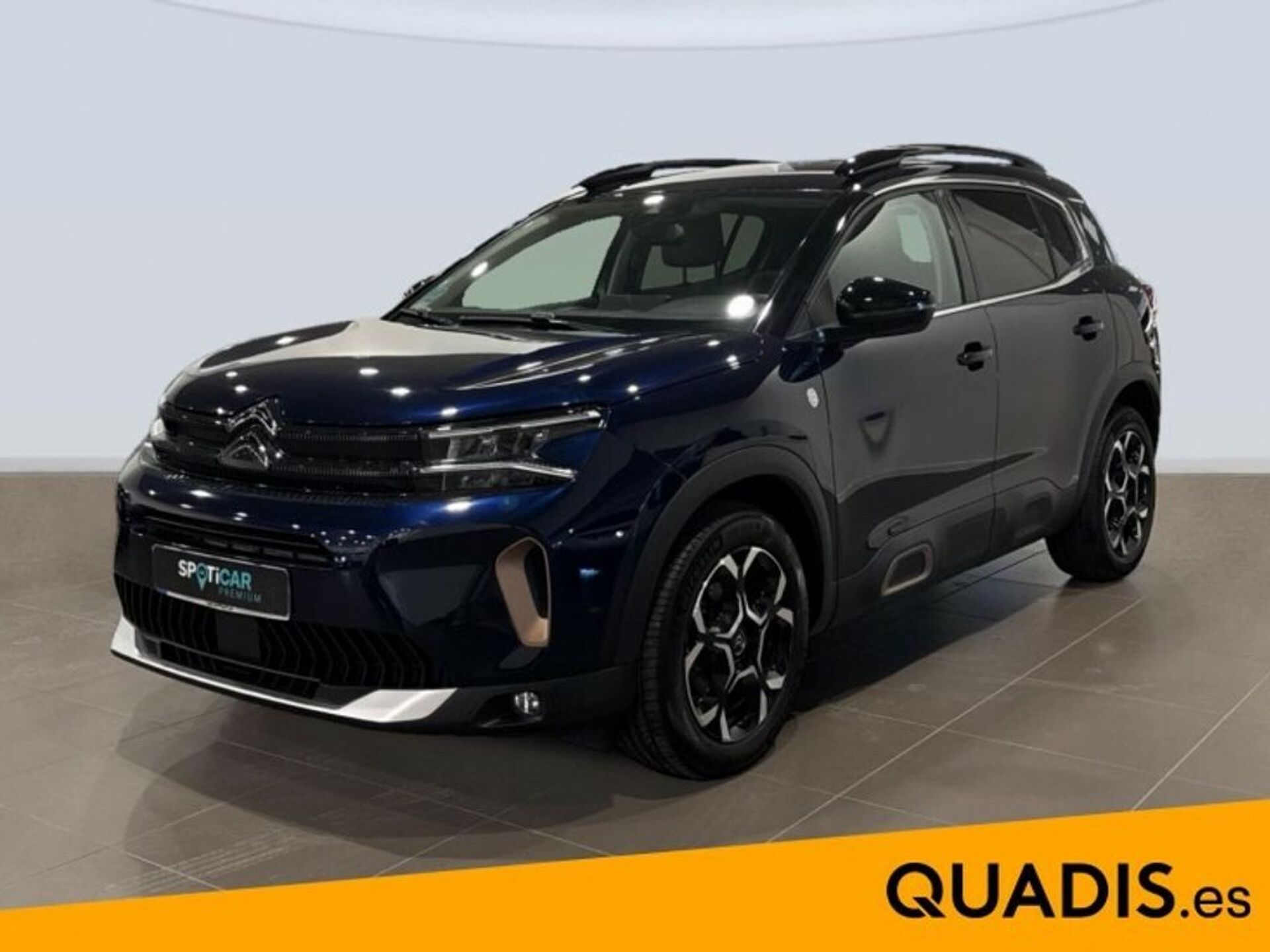 Imagen de CITROEN C5 Aircross