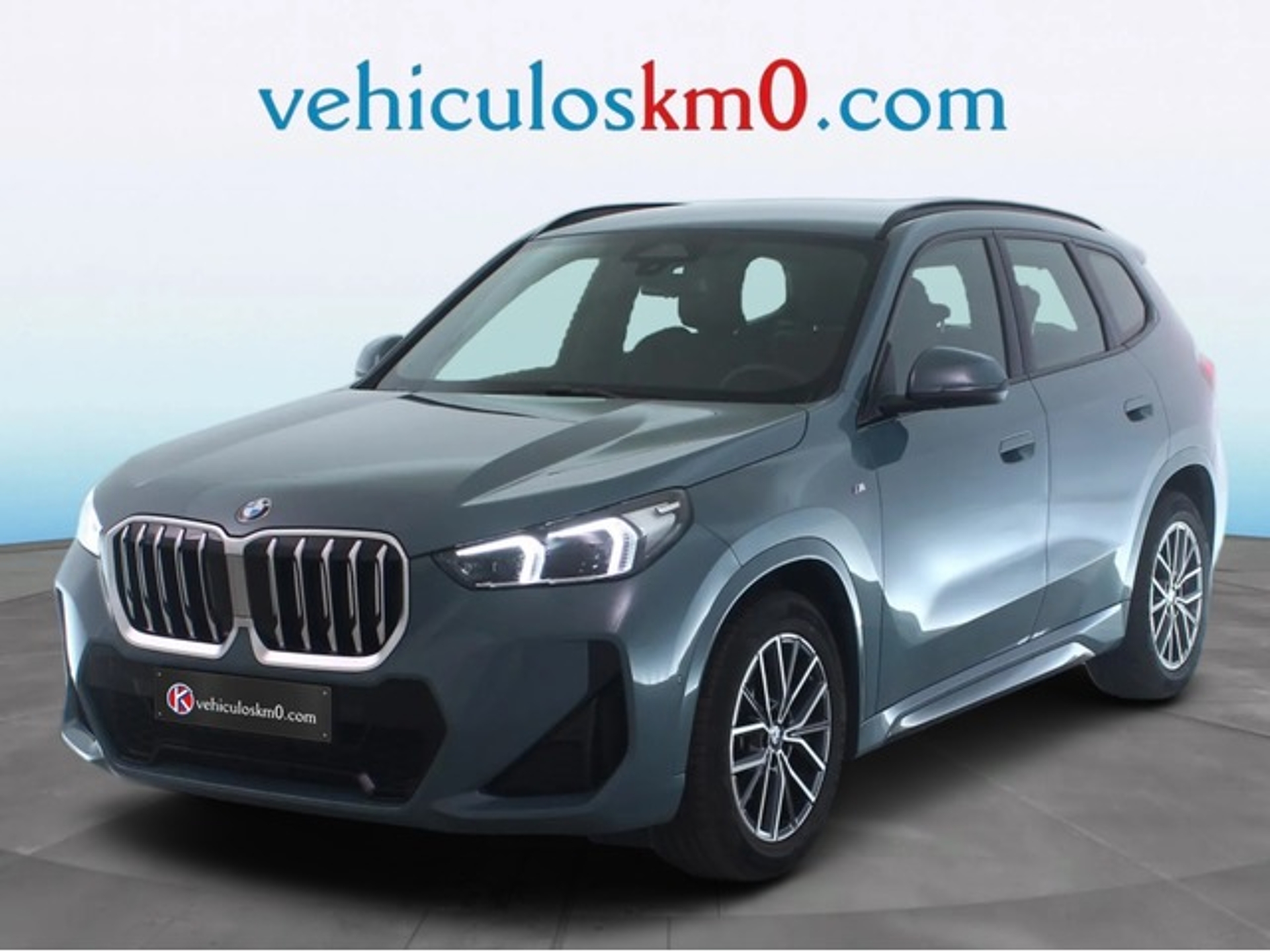 Imagen de BMW X1