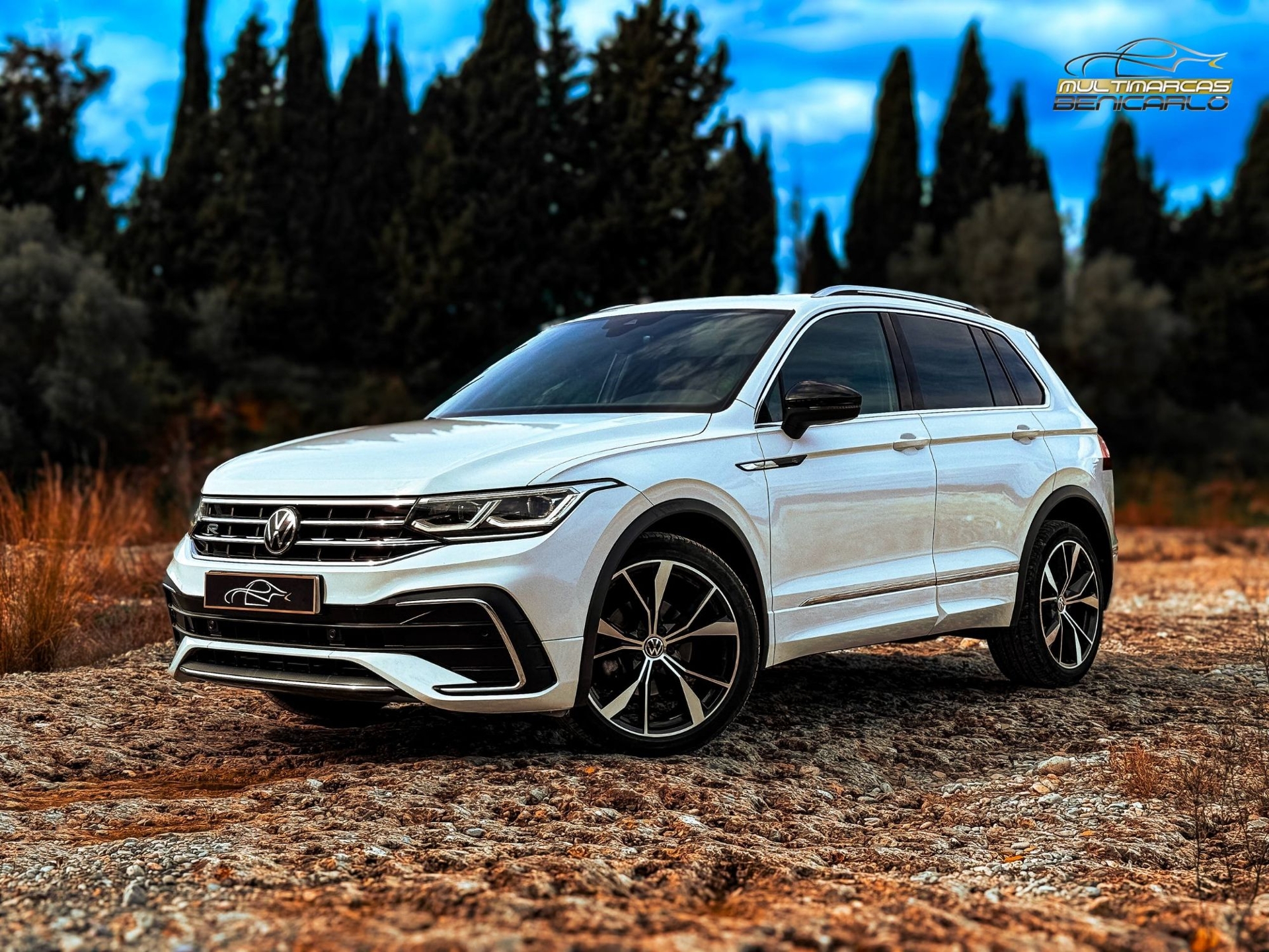 Imagen de VOLKSWAGEN Tiguan