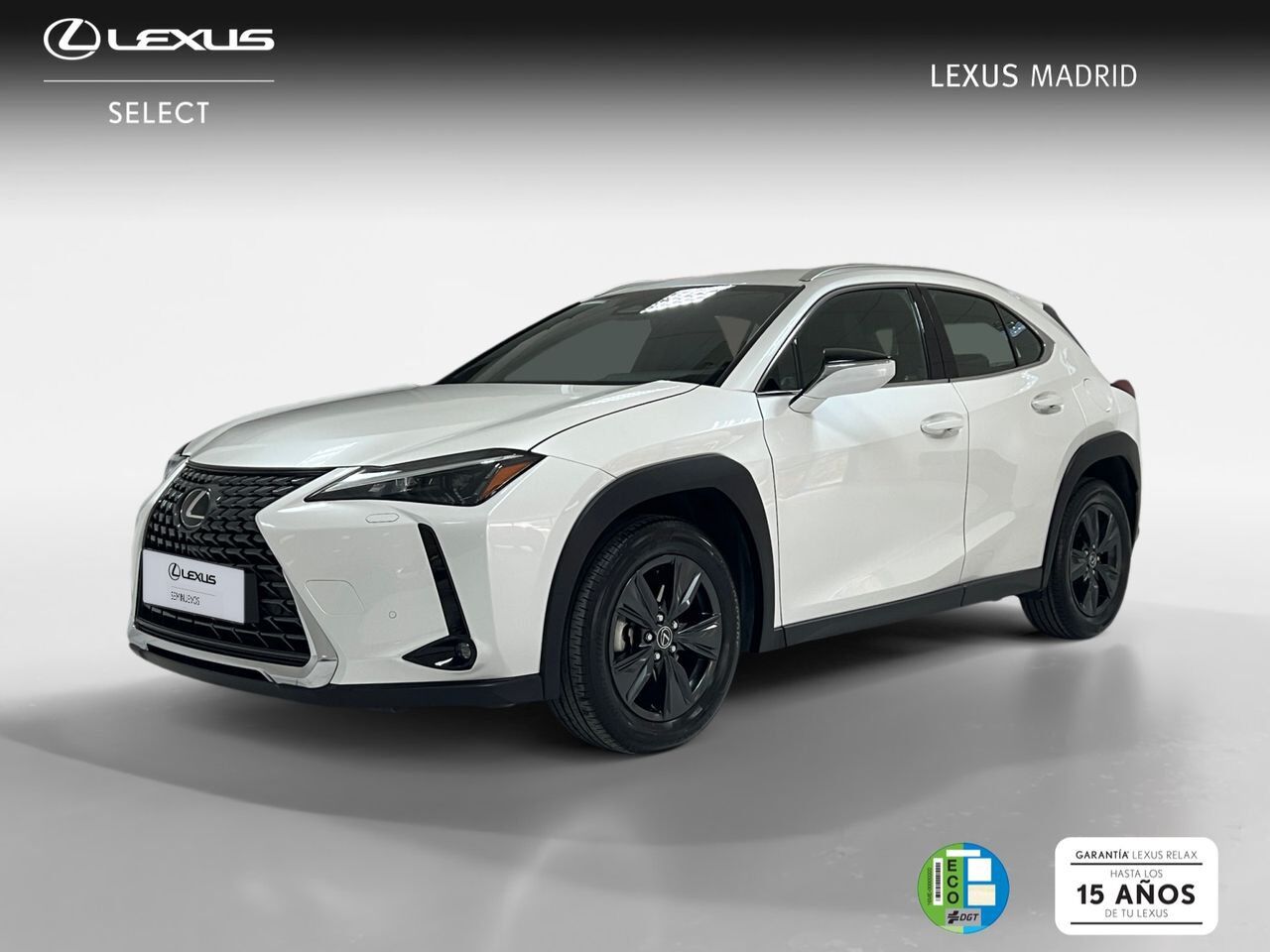 LEXUS UX (2.0 300h Plus) en Madrid
