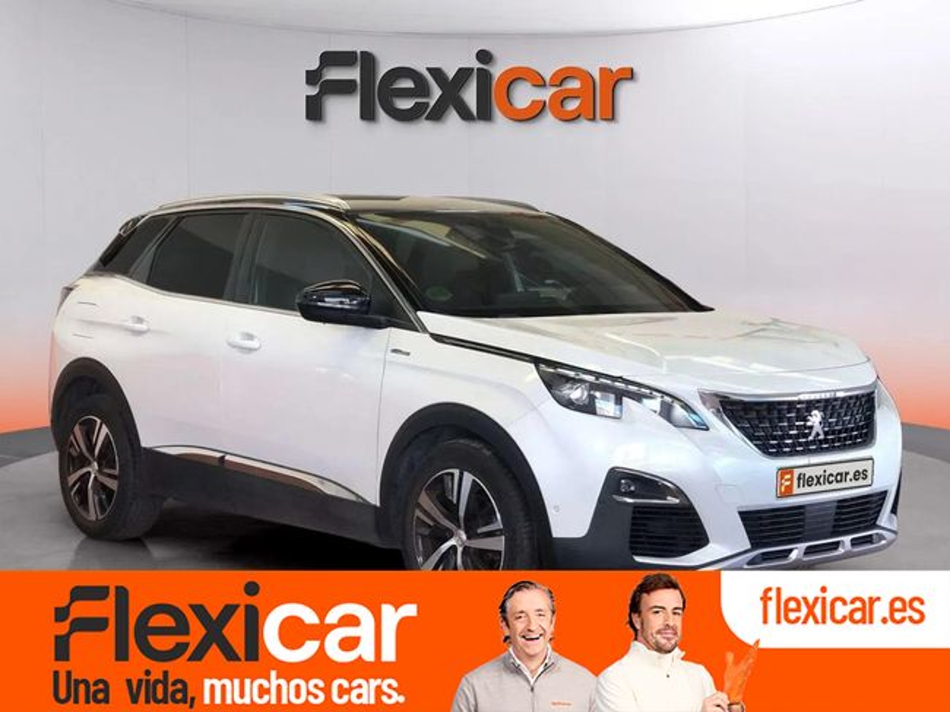 Imagen de PEUGEOT 3008