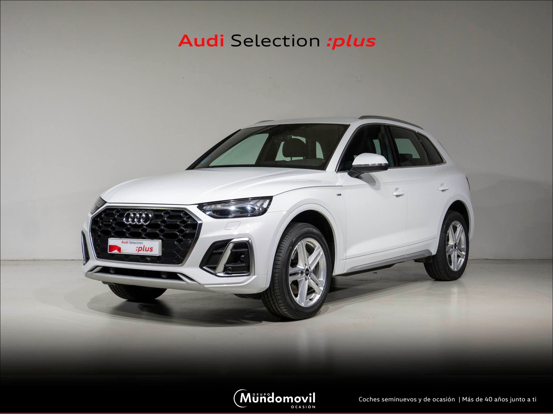 AUDI Q5 (2.0 40 TDI S TRONIC QUATTRO S LINE 5P) en Navarra