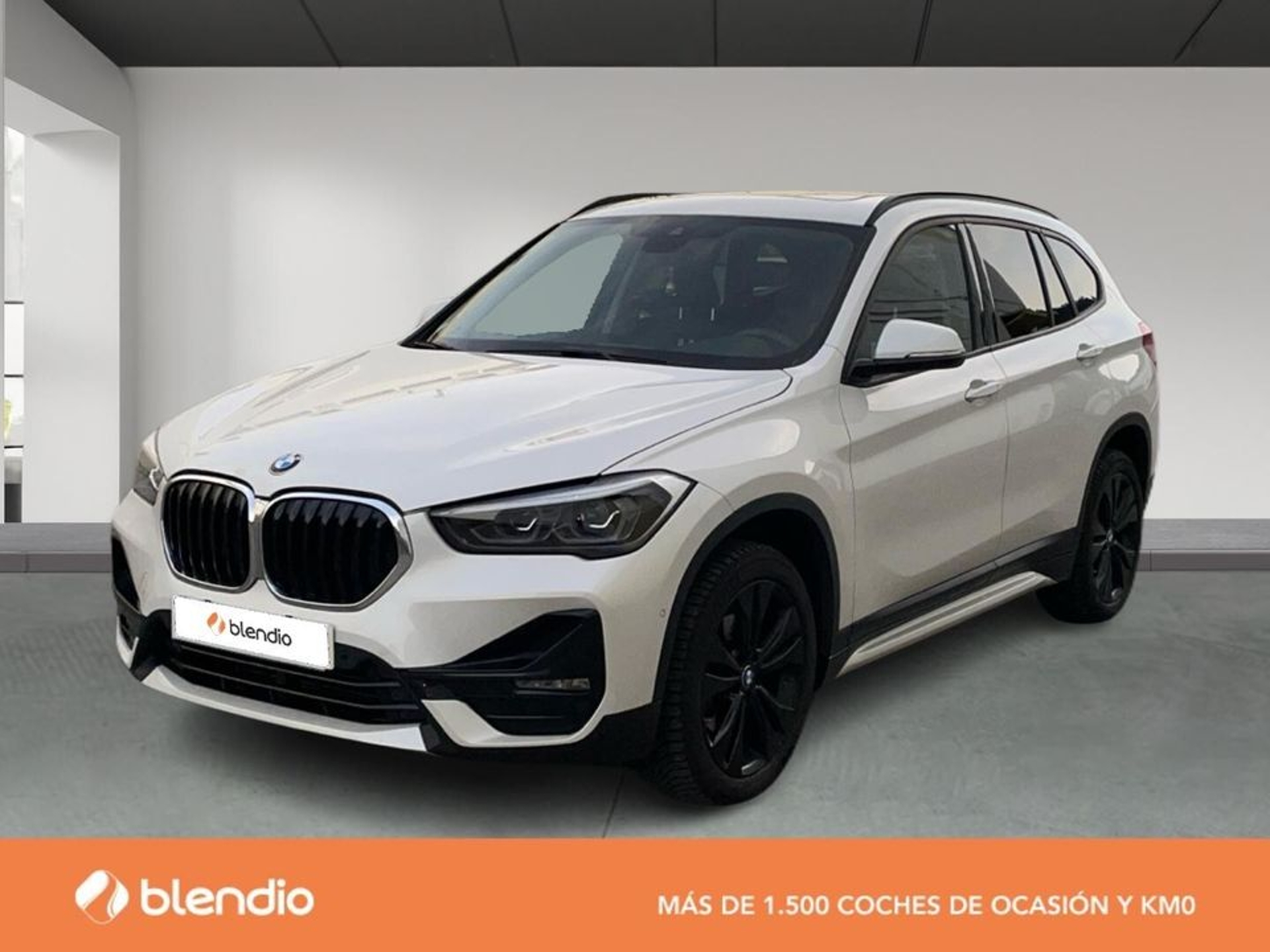 Imagen de BMW X1