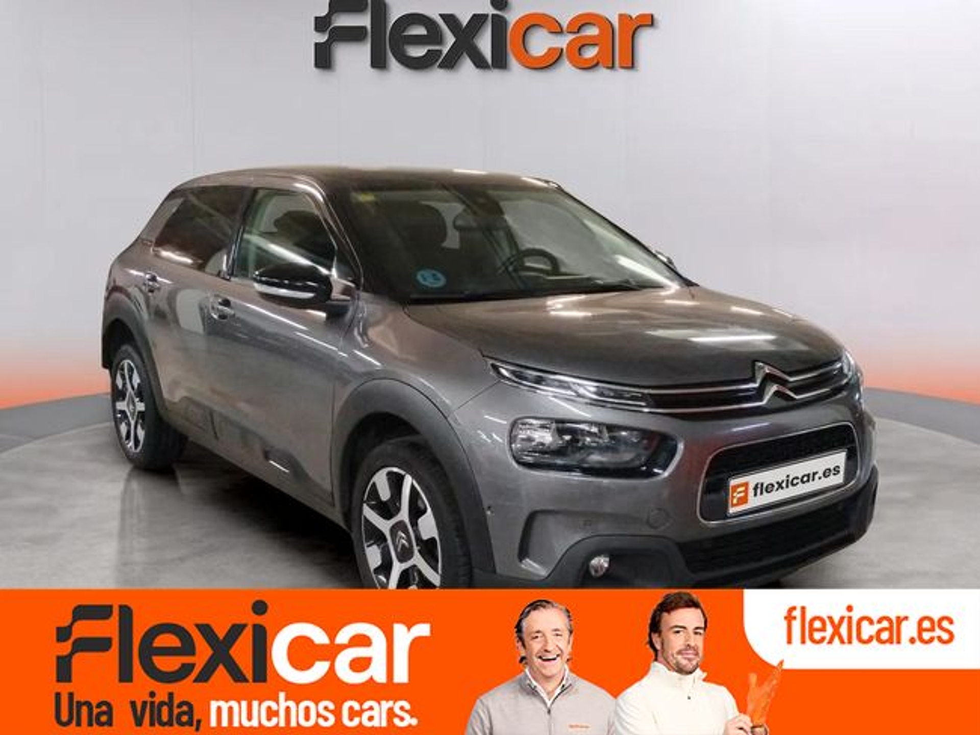 Imagen de CITROEN C4 Cactus