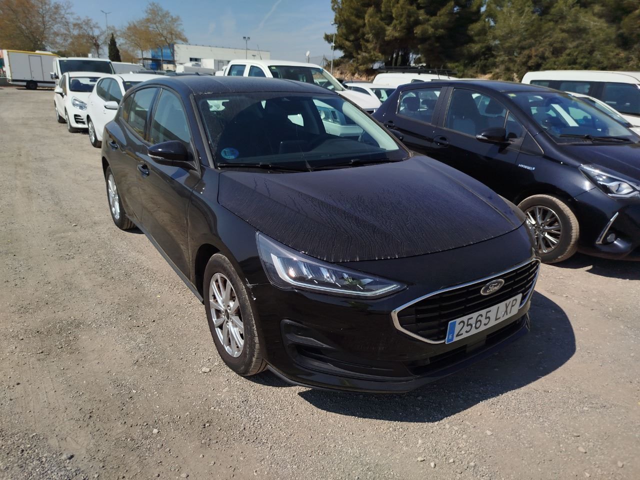 Foto del FORD Focus 1.0 Ecoboost MHEV ST-Line 125