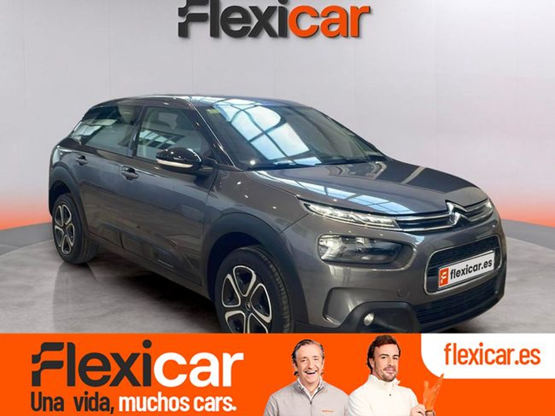 Imagen de CITROEN C4 Cactus