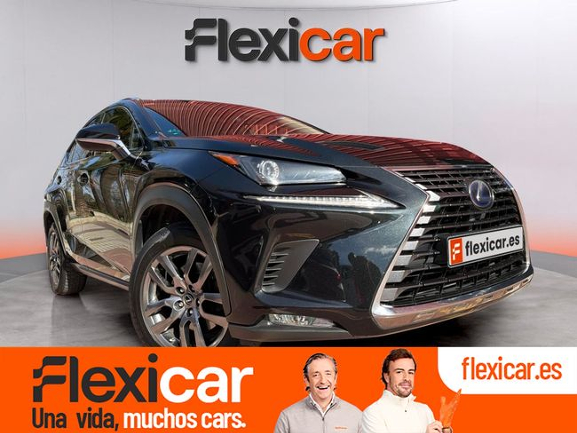 Imagen de LEXUS NX