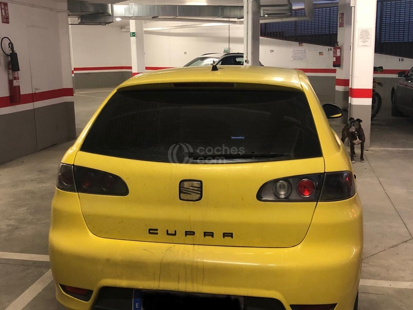Foto del SEAT Ibiza 1.9 TDi Cupra 160