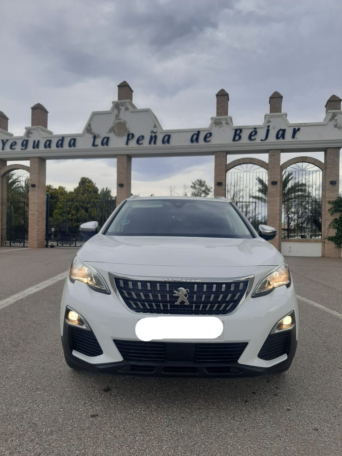 Foto del PEUGEOT 3008 1.5BlueHDi Active S&S 130