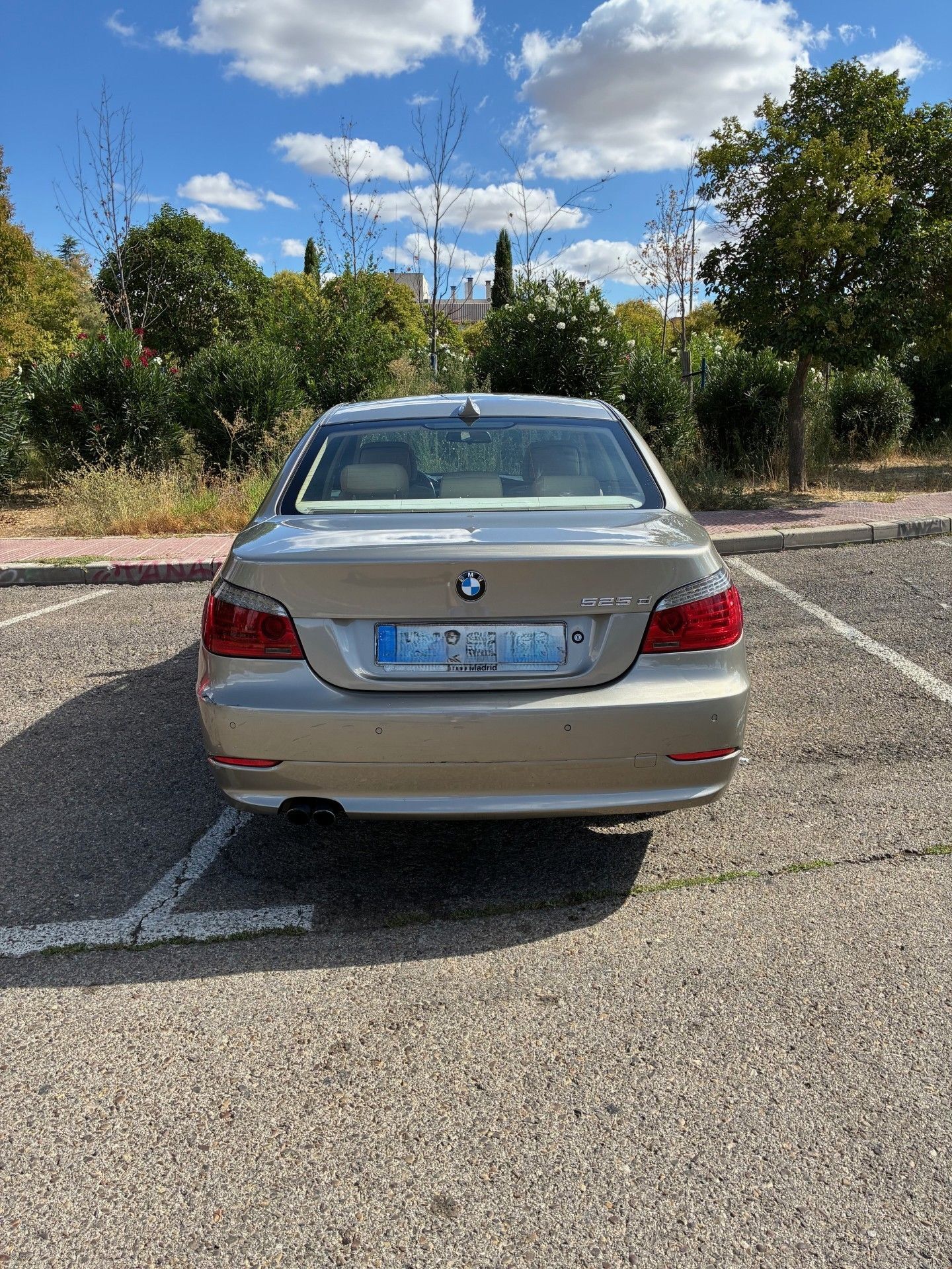 Foto del BMW Serie 5 525d