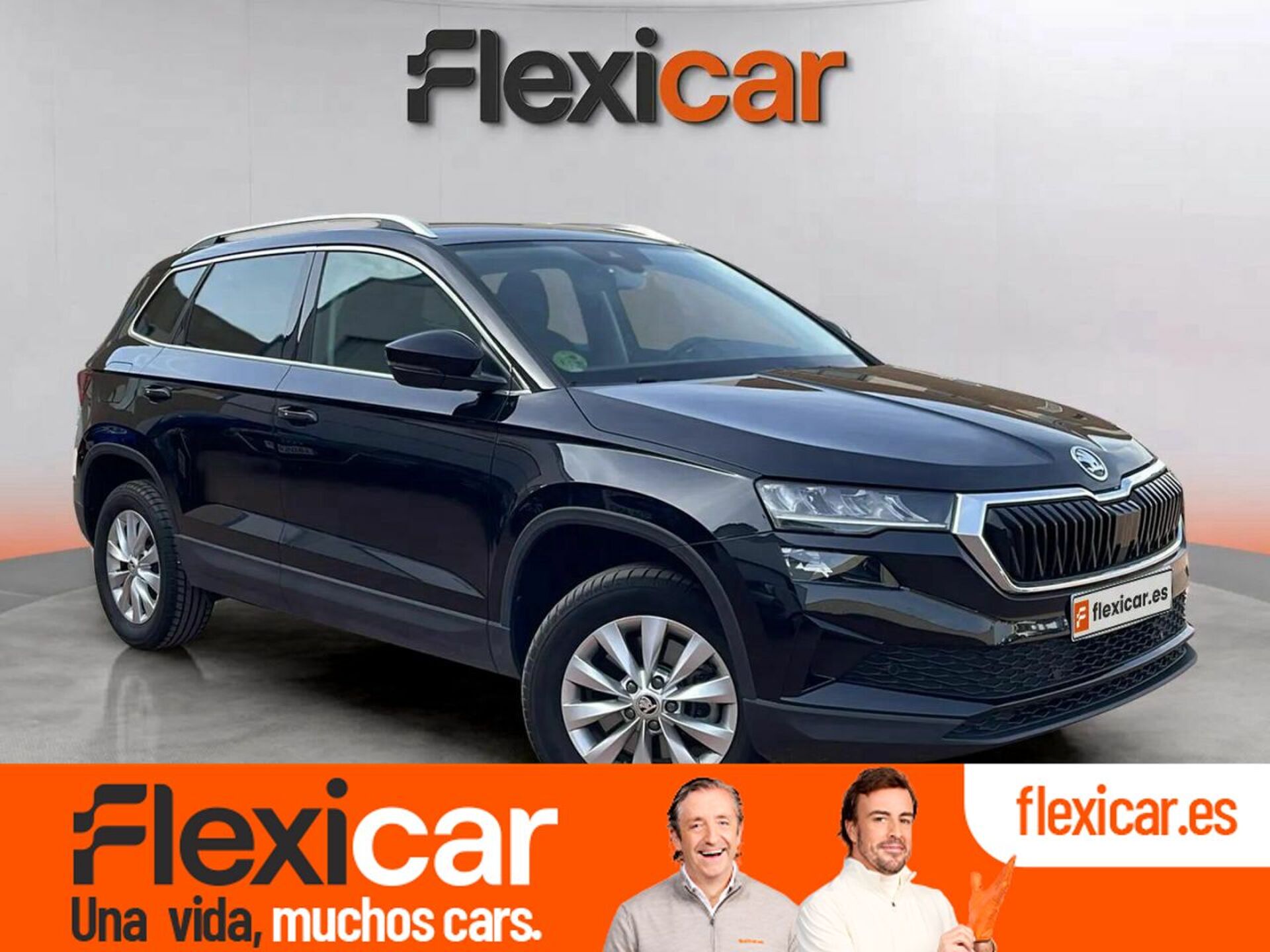 Imagen de SKODA Karoq