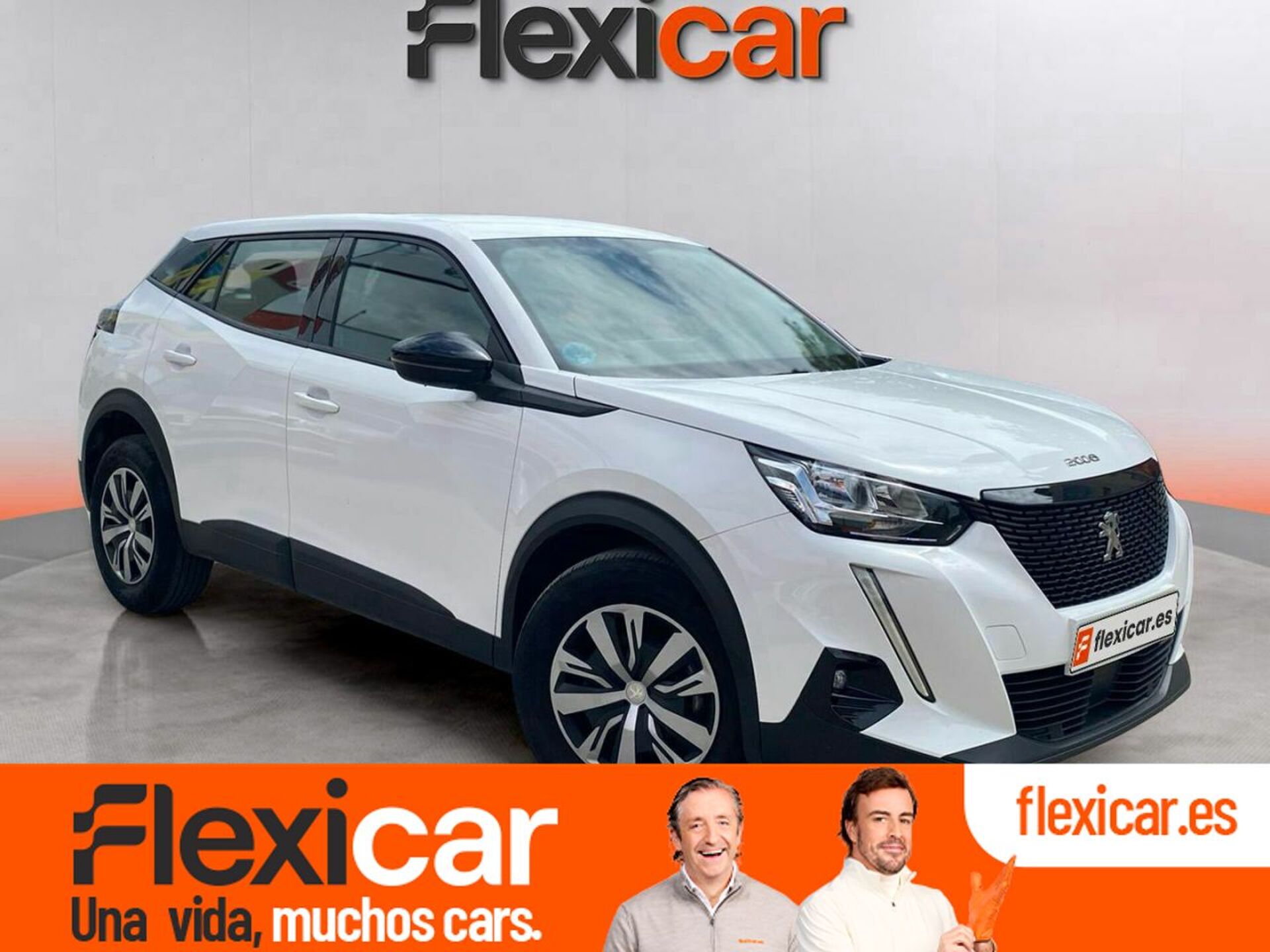 Imagen de PEUGEOT 2008