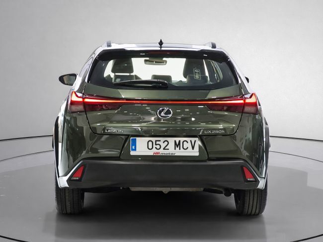 Foto del LEXUS UX 250h Business 4WD