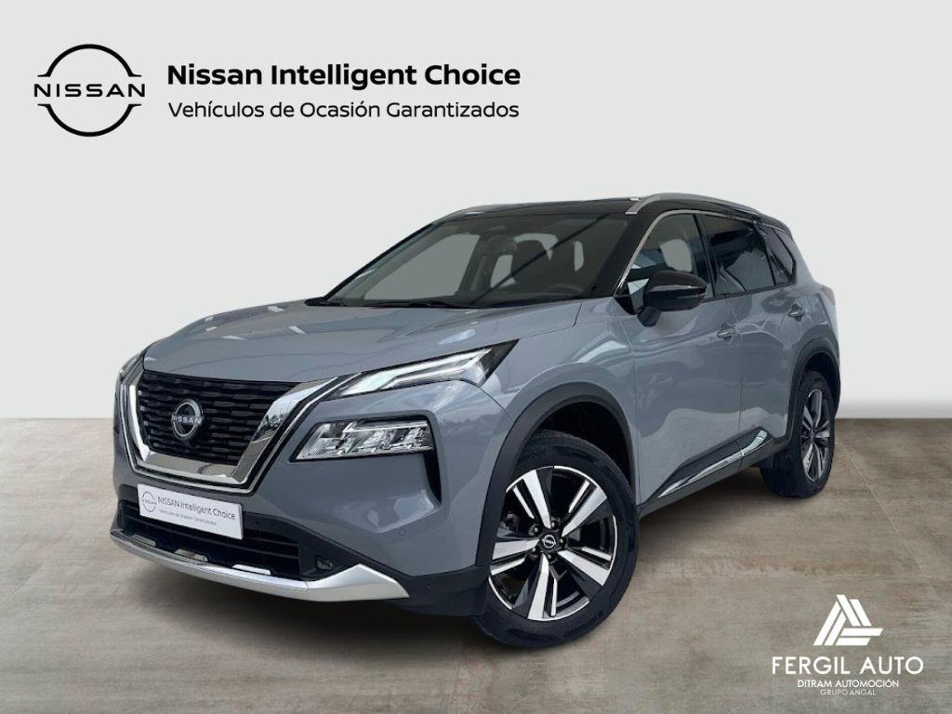 Imagen de NISSAN X-Trail