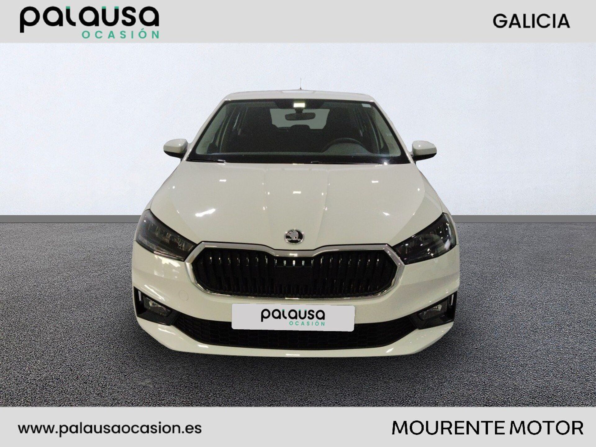 Imagen 3 de SKODA Fabia