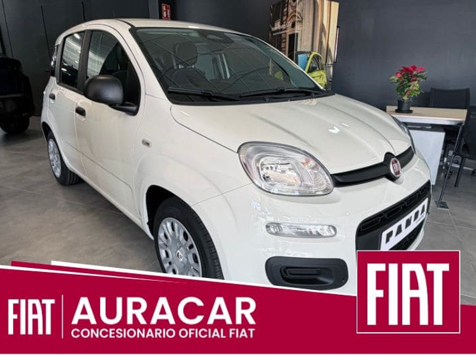 Imagen de FIAT Panda