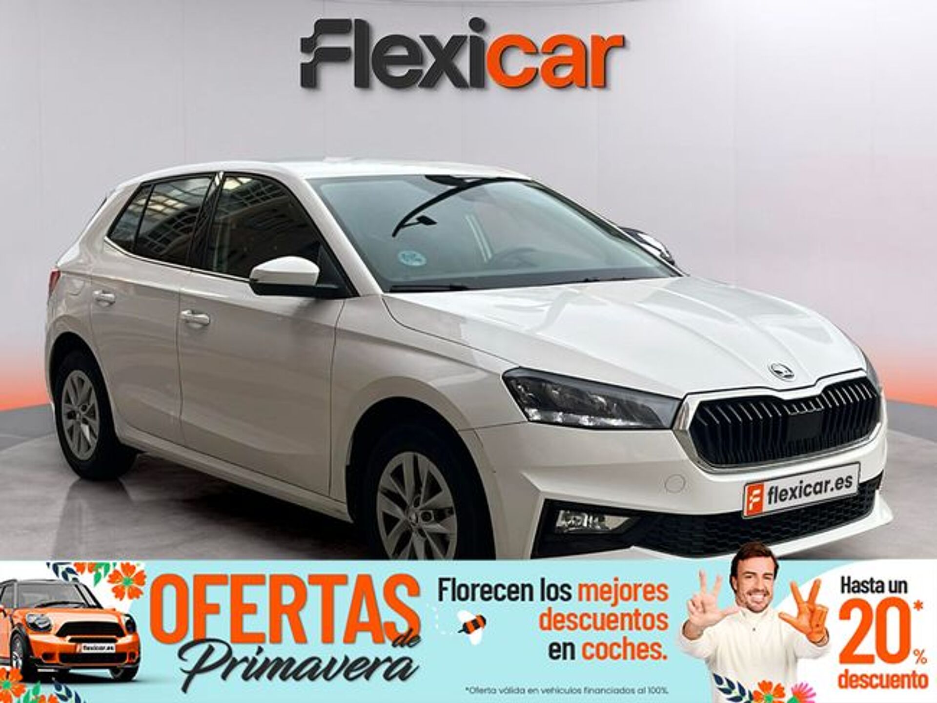 Imagen 1 de SKODA Fabia