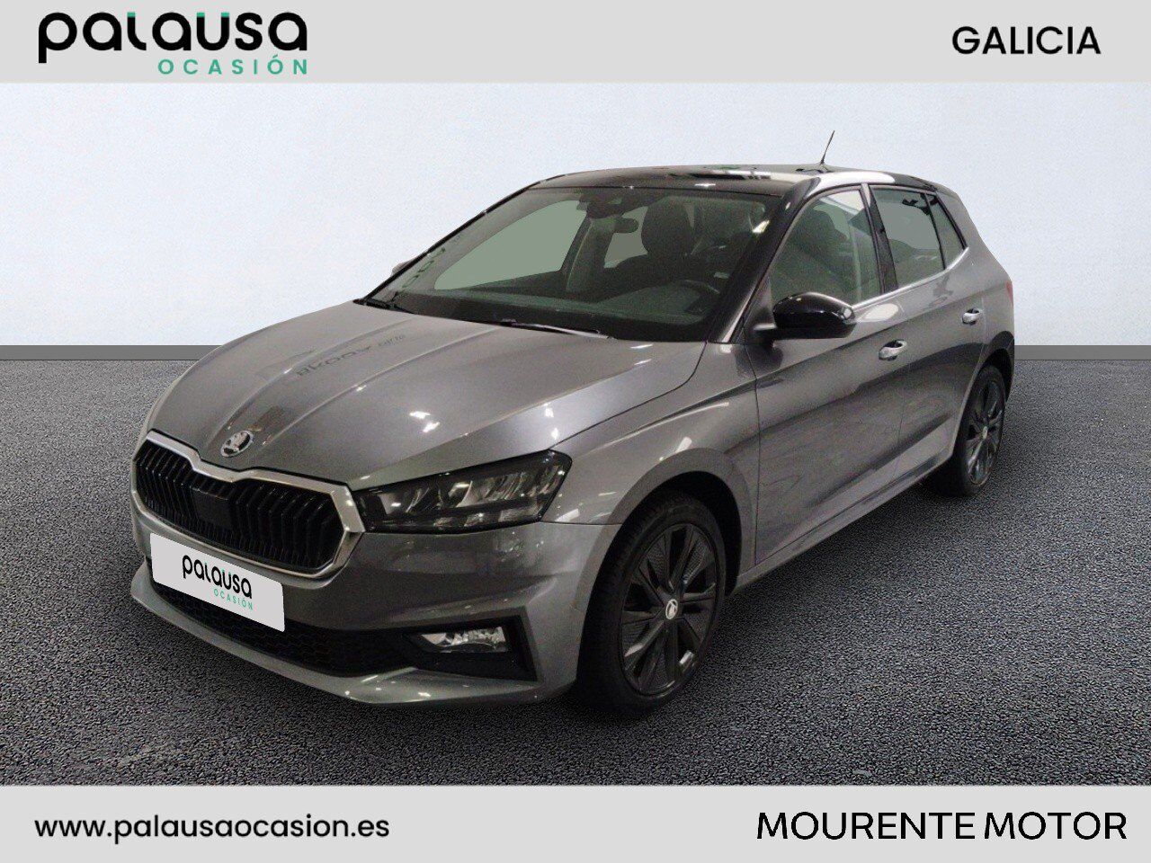 SKODA Fabia (1.0 TSI 81KW STYLE 110 5P) en Pontevedra
