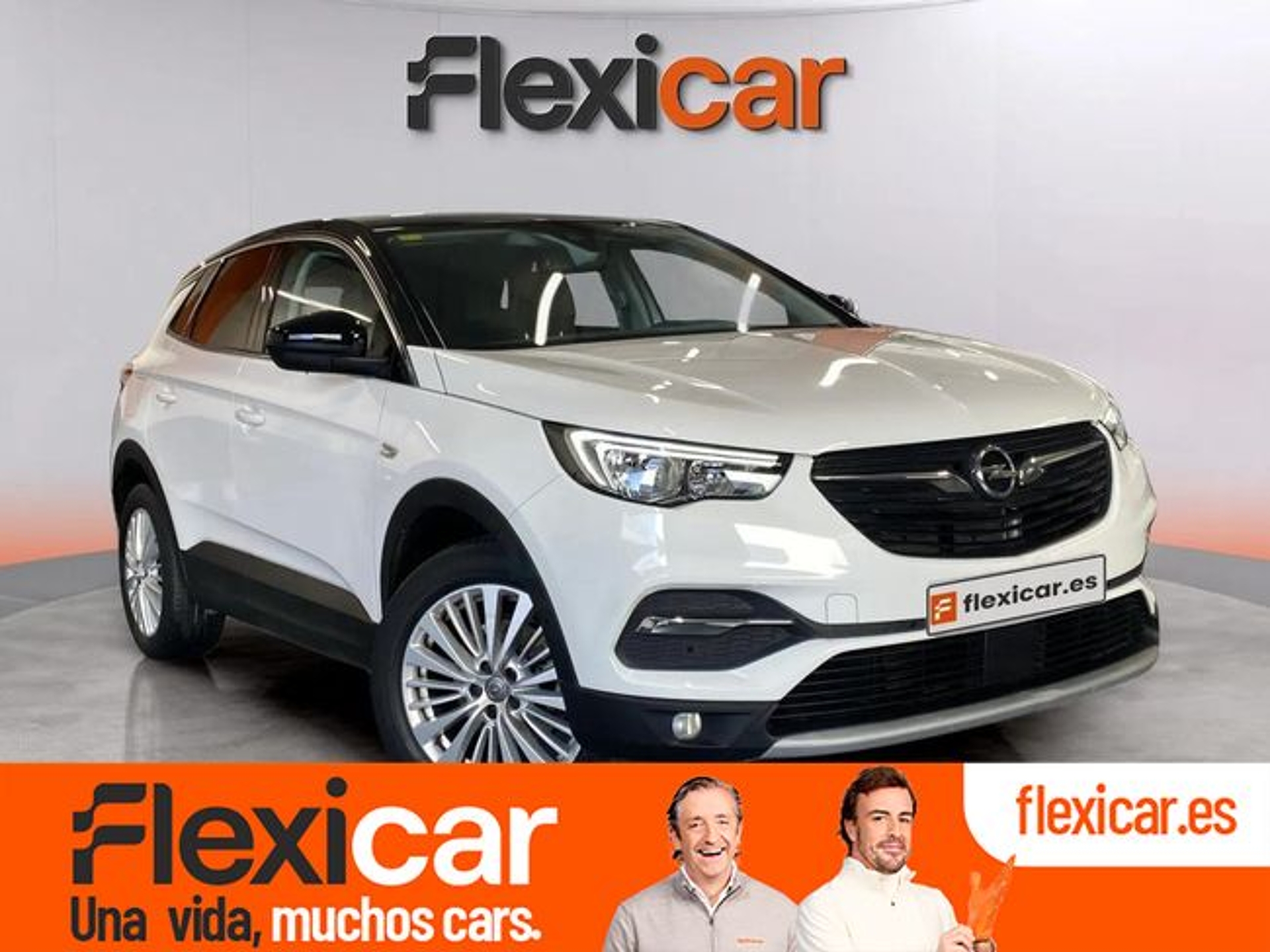Imagen de OPEL Grandland X