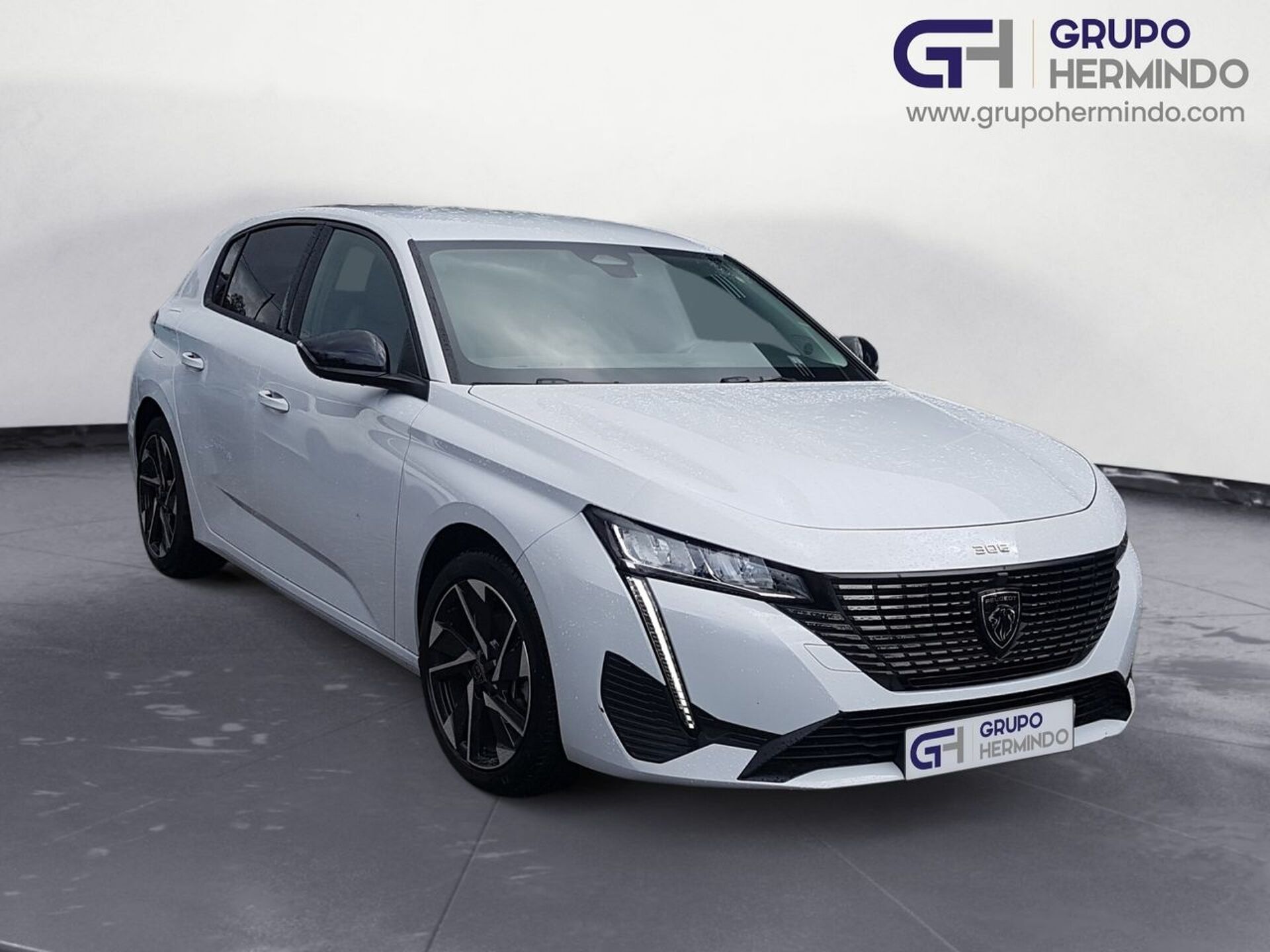 Imagen de PEUGEOT 308