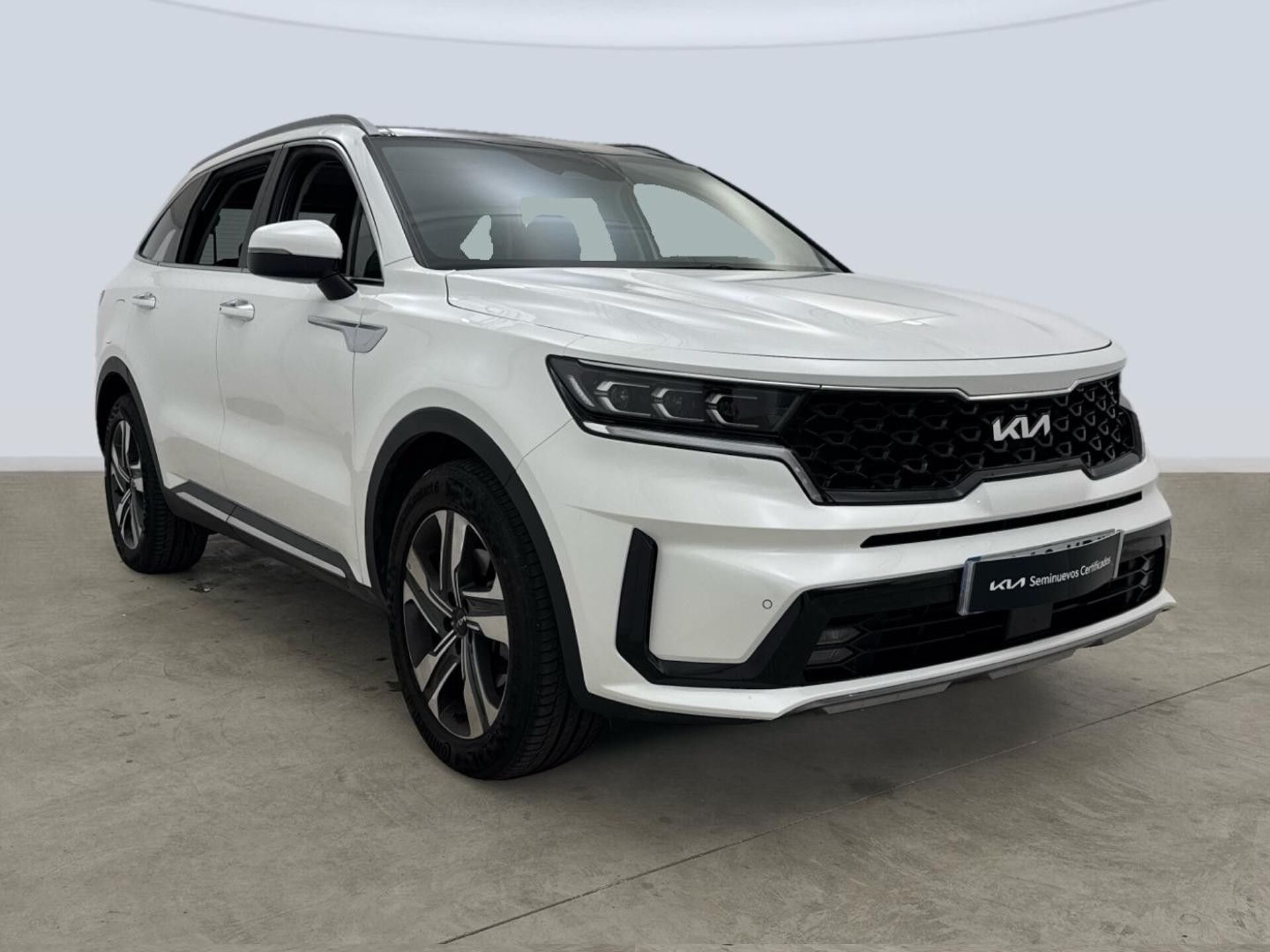 Imagen 3 de KIA Sorento
