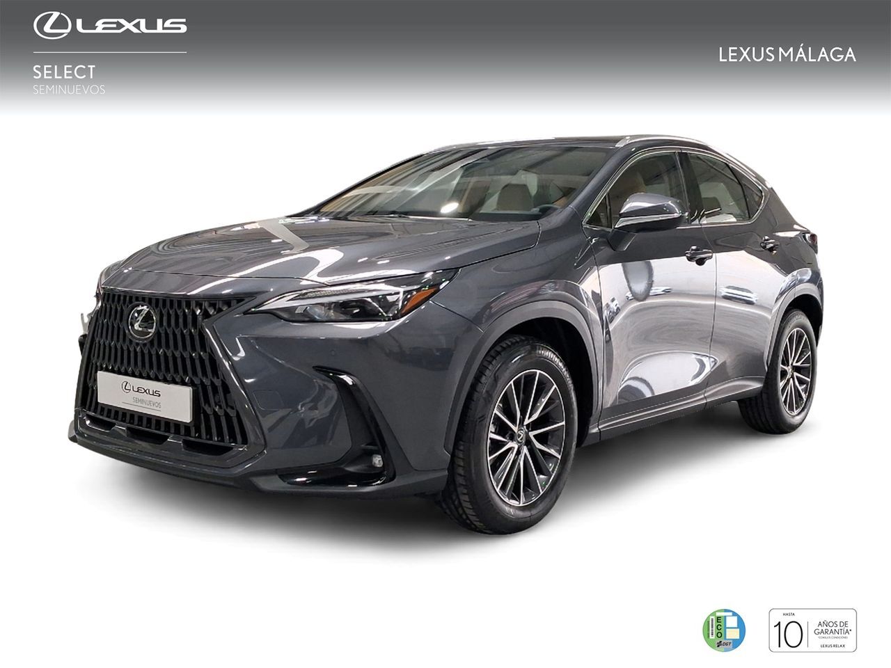 LEXUS NX (350h Premium+ 2WD) en Málaga