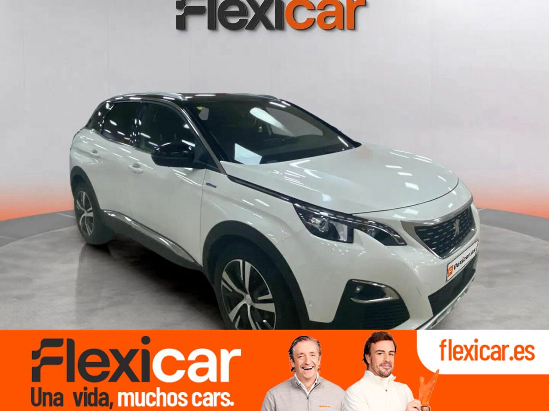 Imagen de PEUGEOT 3008