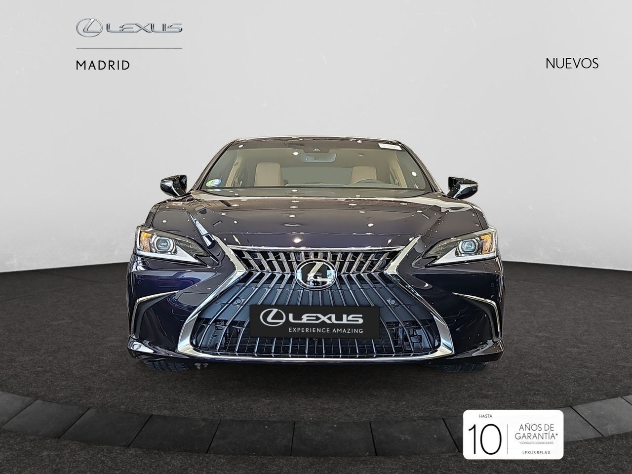 LEXUS ES (2.5 300h Premium) en Madrid