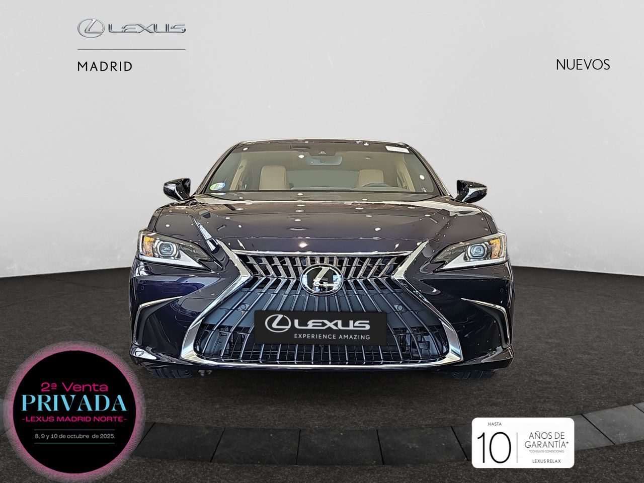 LEXUS ES (2.5 300h Premium) en Madrid