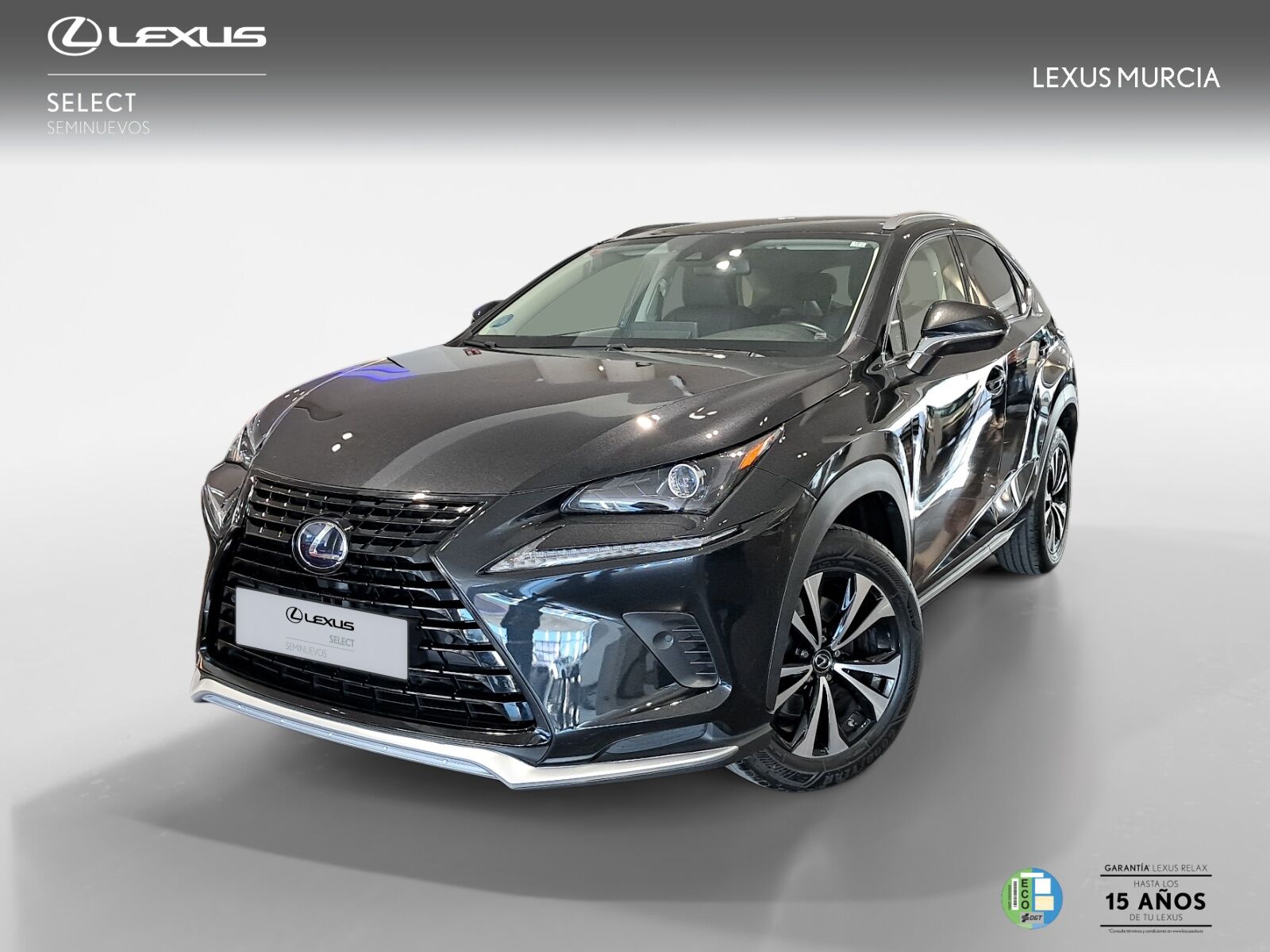 LEXUS NX (NX 2.5 300h Premium 2WD todoterreno) en Murcia