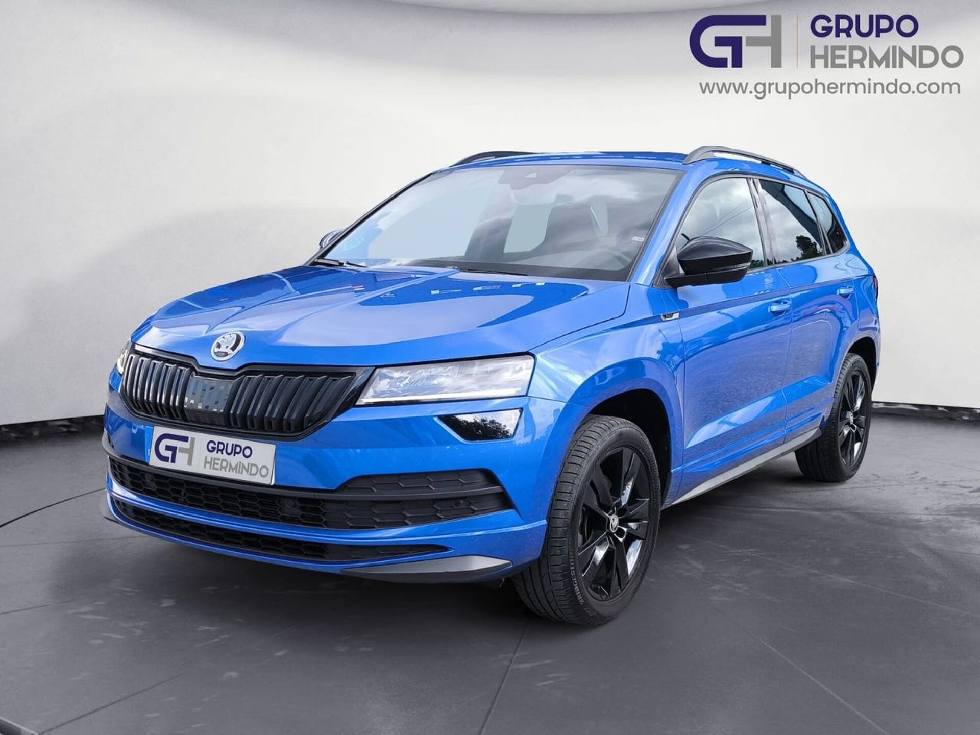 Imagen de SKODA Karoq