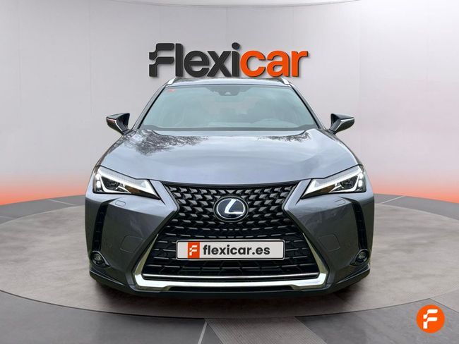 Foto del LEXUS UX 250h Business 4WD