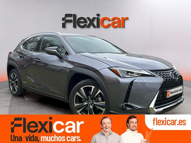 Foto del LEXUS UX 250h Business 4WD