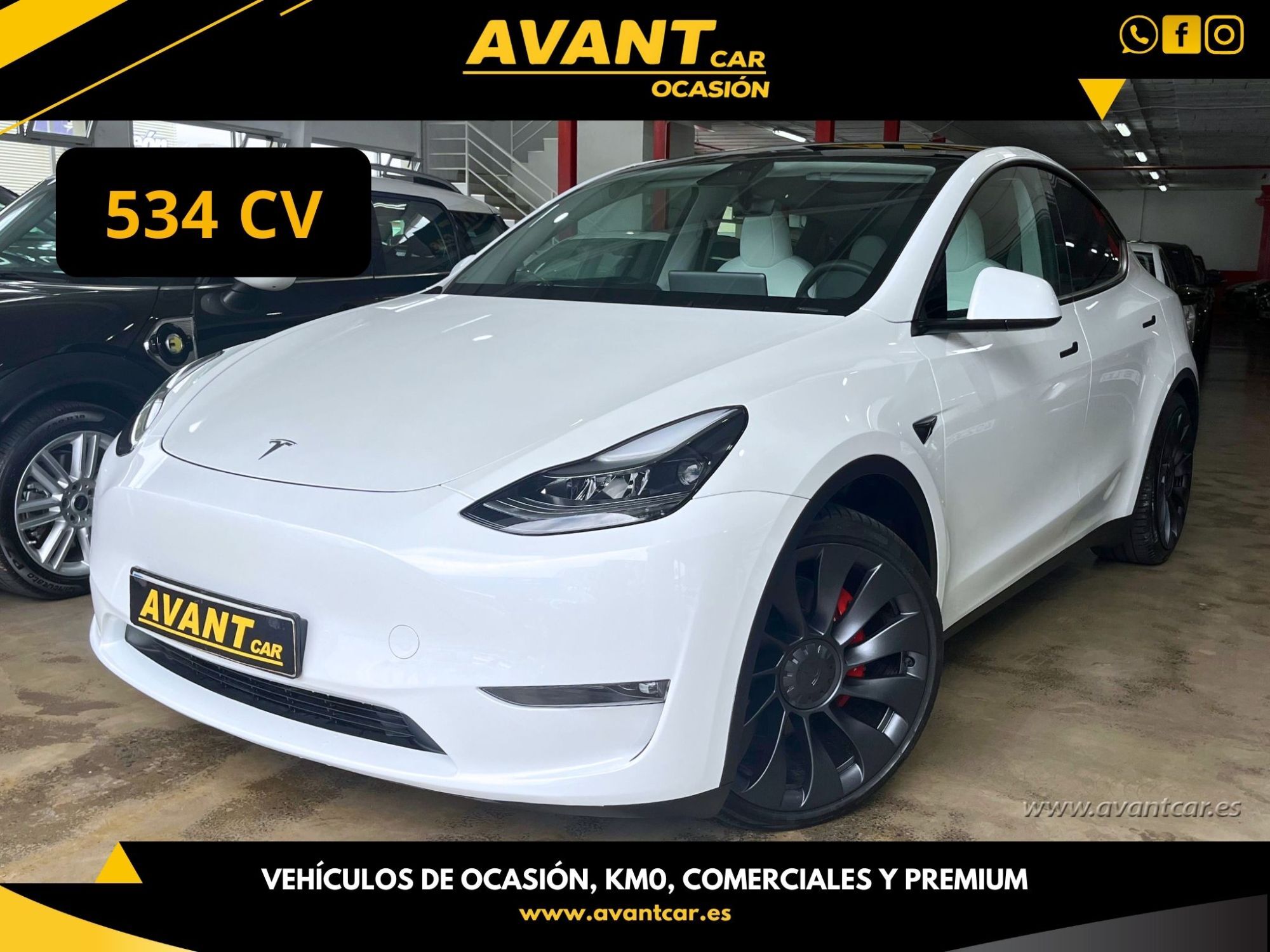 TESLA Model Y (Performance AWD) en Palmas, Las