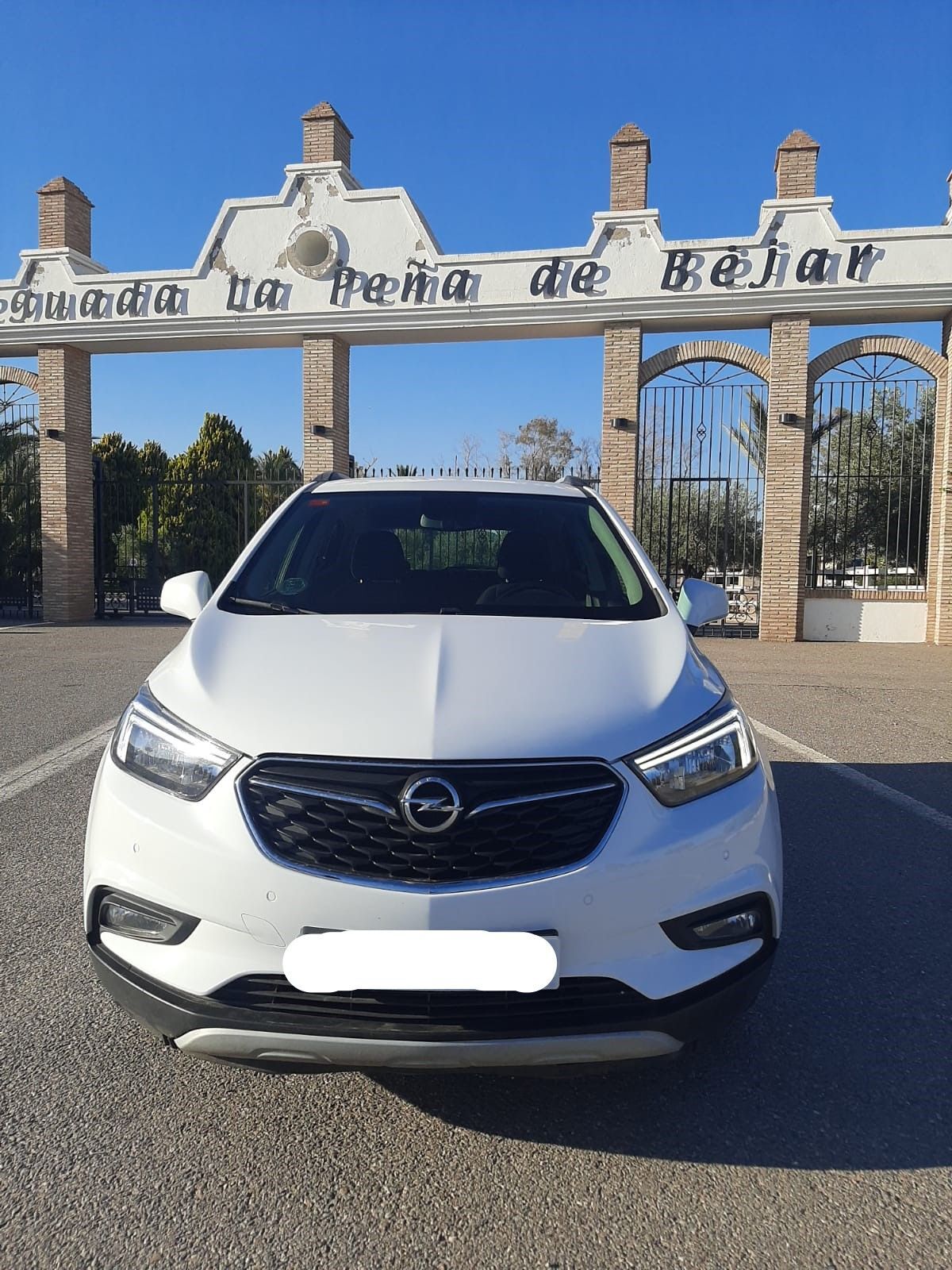 Foto del OPEL Mokka X 1.6CDTi S&S Excellence 4x2