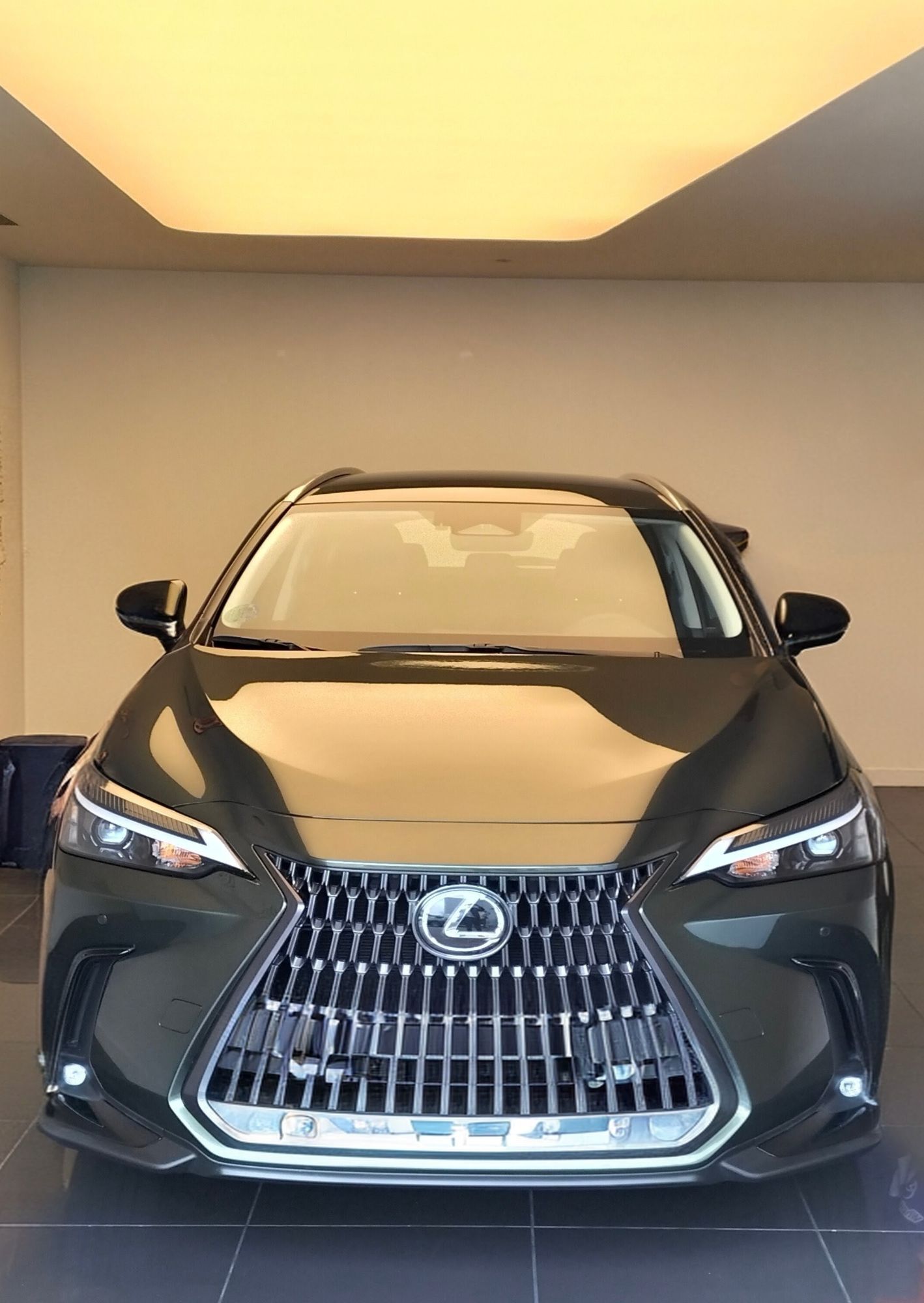 Foto del LEXUS NX 350h Business City 2WD