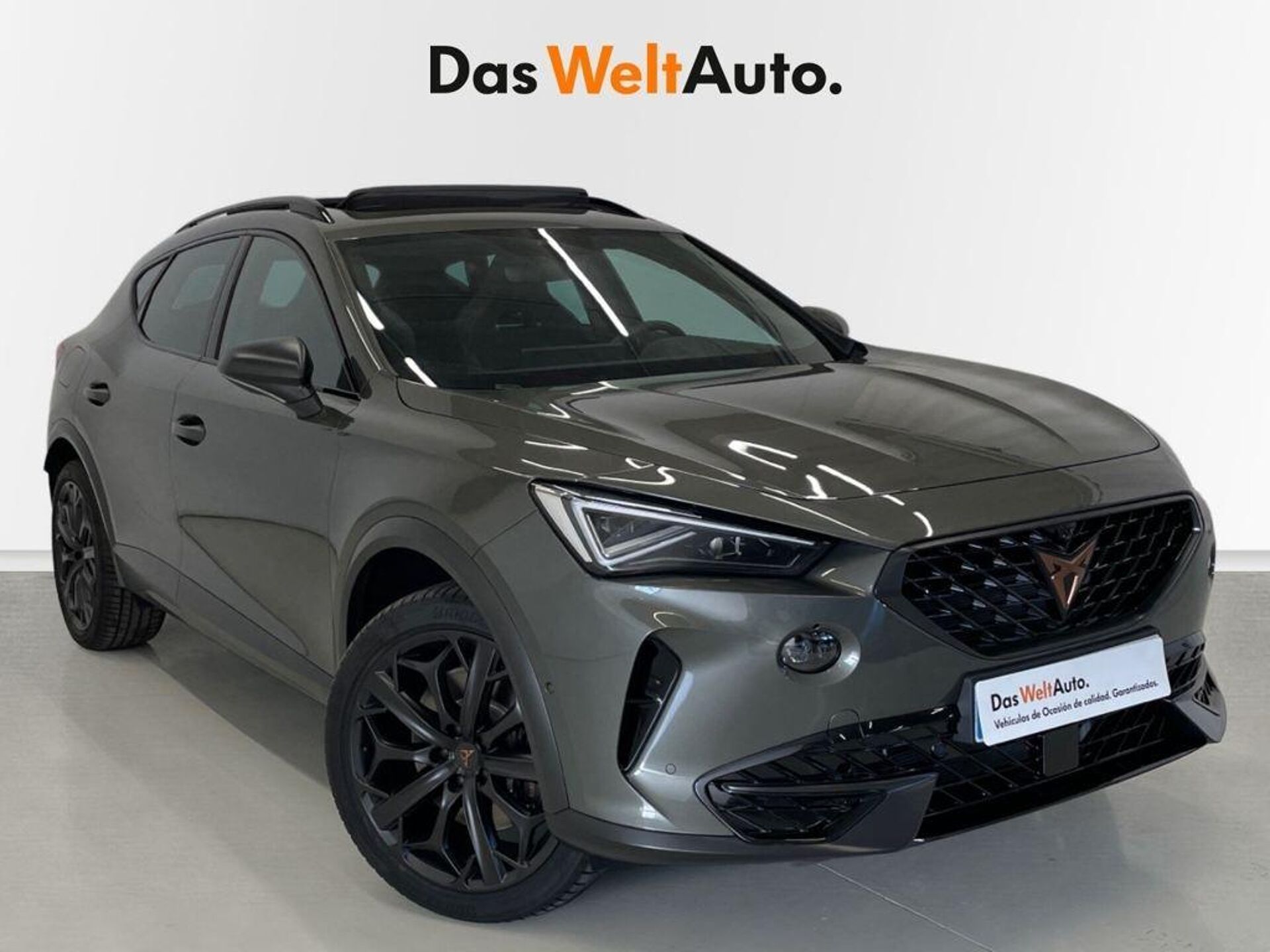 Imagen de CUPRA Formentor